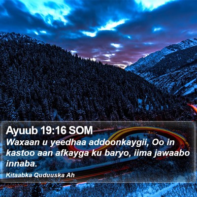 Ayuub 19:16 SOM Bible Verse Image