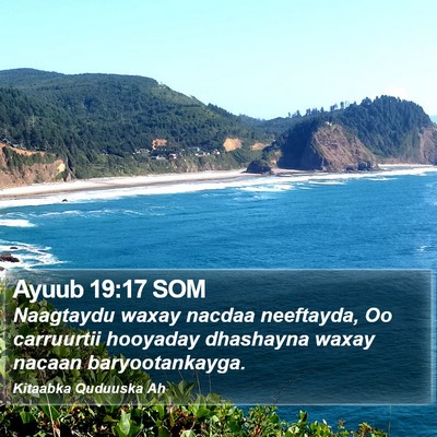 Ayuub 19:17 SOM Bible Verse Image