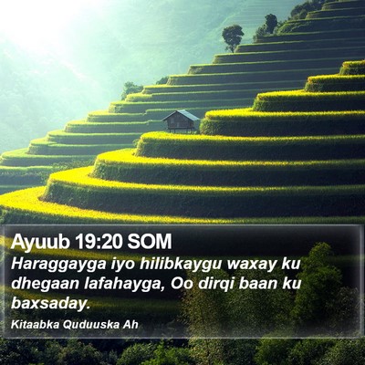 Ayuub 19:20 SOM Bible Verse Image