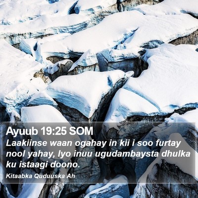 Ayuub 19:25 SOM Bible Verse Image