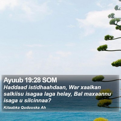 Ayuub 19:28 SOM Bible Verse Image