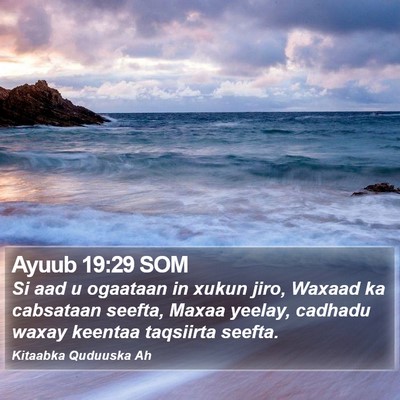 Ayuub 19:29 SOM Bible Verse Image