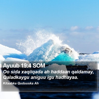 Ayuub 19:4 SOM Bible Verse Image