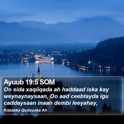 Ayuub 19:5 SOM Bible Verse Image