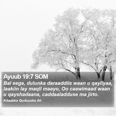 Ayuub 19:7 SOM Bible Verse Image