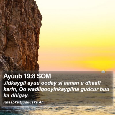 Ayuub 19:8 SOM Bible Verse Image