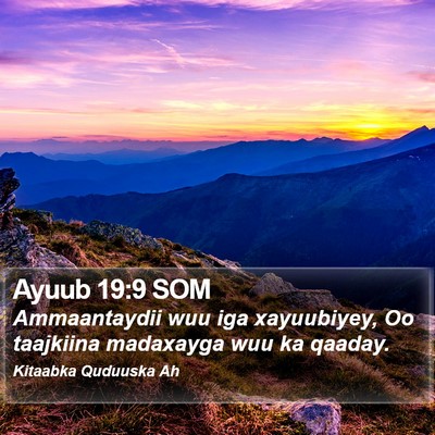 Ayuub 19:9 SOM Bible Verse Image