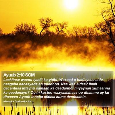 Ayuub 2:10 SOM Bible Verse Image