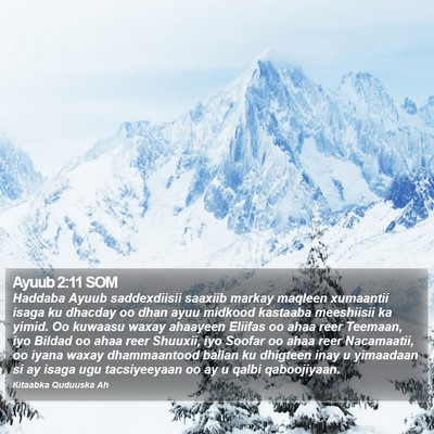 Ayuub 2:11 SOM Bible Verse Image