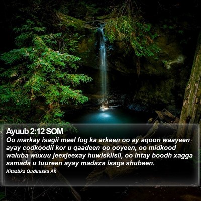 Ayuub 2:12 SOM Bible Verse Image