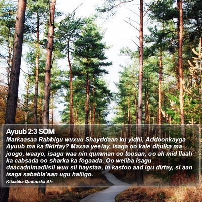 Ayuub 2:3 SOM Bible Verse Image