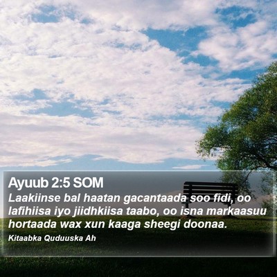 Ayuub 2:5 SOM Bible Verse Image