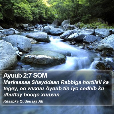 Ayuub 2:7 SOM Bible Verse Image