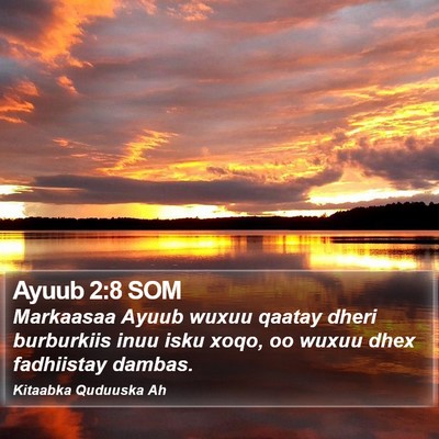 Ayuub 2:8 SOM Bible Verse Image