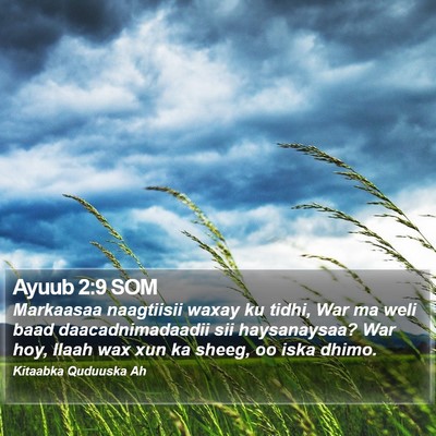 Ayuub 2:9 SOM Bible Verse Image