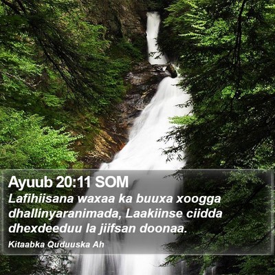Ayuub 20:11 SOM Bible Verse Image