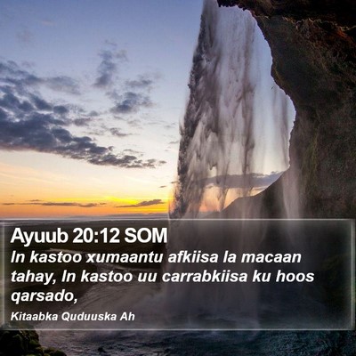 Ayuub 20:12 SOM Bible Verse Image