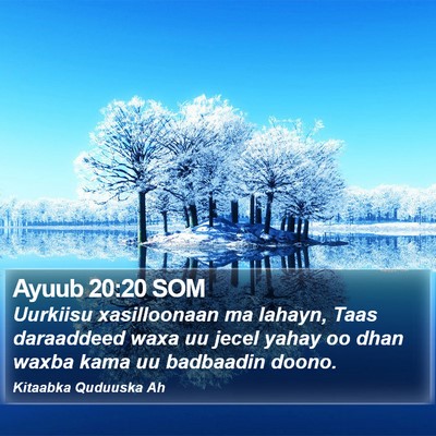 Ayuub 20:20 SOM Bible Verse Image