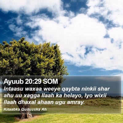 Ayuub 20:29 SOM Bible Verse Image