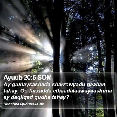 Ayuub 20:5 SOM Bible Verse Image