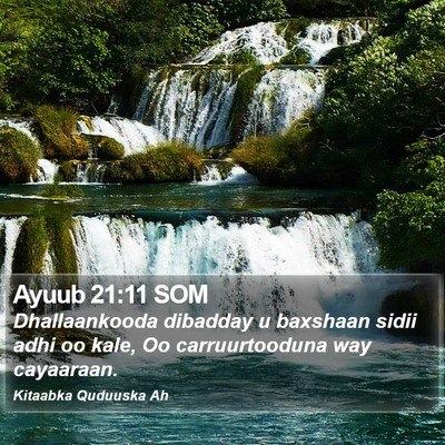 Ayuub 21:11 SOM Bible Verse Image