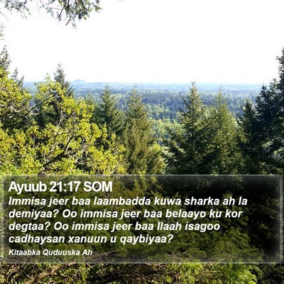 Ayuub 21:17 SOM Bible Verse Image