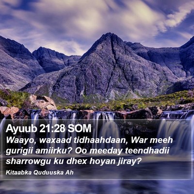 Ayuub 21:28 SOM Bible Verse Image