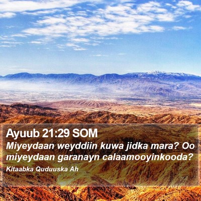 Ayuub 21:29 SOM Bible Verse Image