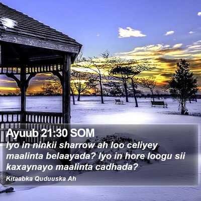 Ayuub 21:30 SOM Bible Verse Image