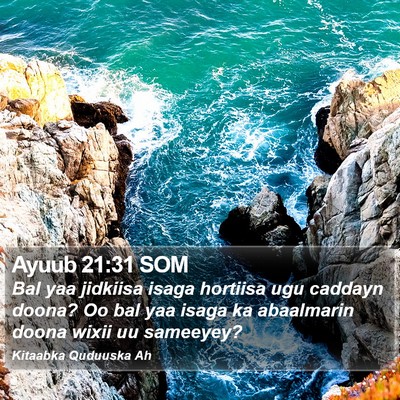 Ayuub 21:31 SOM Bible Verse Image