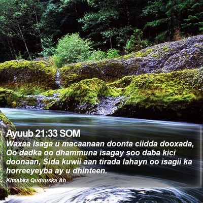 Ayuub 21:33 SOM Bible Verse Image