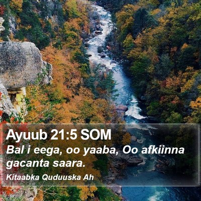 Ayuub 21:5 SOM Bible Verse Image