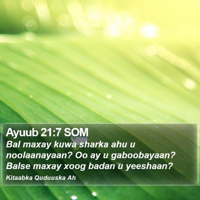 Ayuub 21:7 SOM Bible Verse Image