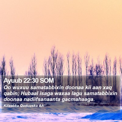 Ayuub 22:30 SOM Bible Verse Image