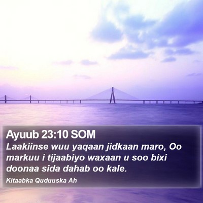 Ayuub 23:10 SOM Bible Verse Image
