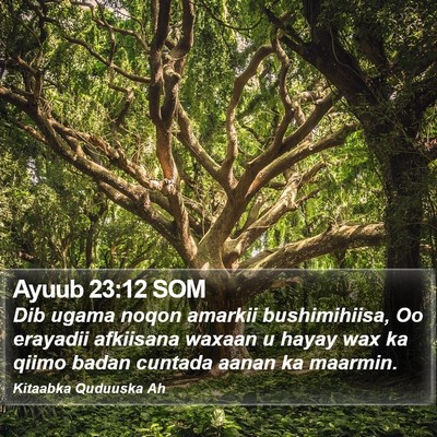 Ayuub 23:12 SOM Bible Verse Image