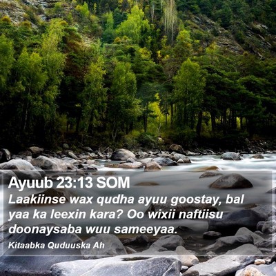 Ayuub 23:13 SOM Bible Verse Image