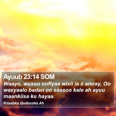 Ayuub 23:14 SOM Bible Verse Image