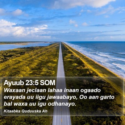 Ayuub 23:5 SOM Bible Verse Image
