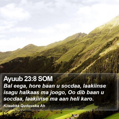 Ayuub 23:8 SOM Bible Verse Image