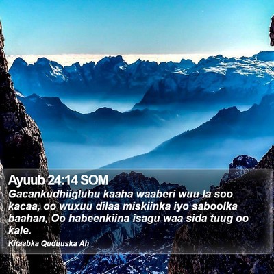Ayuub 24:14 SOM Bible Verse Image