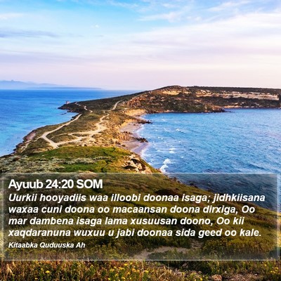 Ayuub 24:20 SOM Bible Verse Image