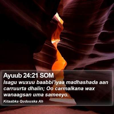 Ayuub 24:21 SOM Bible Verse Image