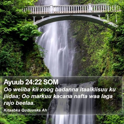 Ayuub 24:22 SOM Bible Verse Image