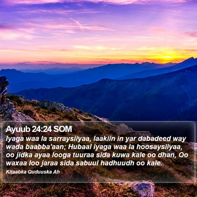 Ayuub 24:24 SOM Bible Verse Image