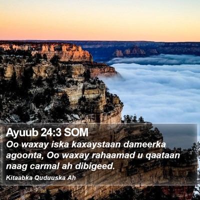 Ayuub 24:3 SOM Bible Verse Image