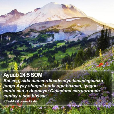 Ayuub 24:5 SOM Bible Verse Image
