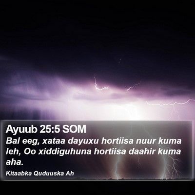 Ayuub 25:5 SOM Bible Verse Image