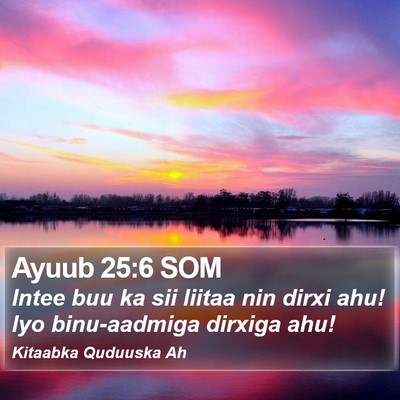 Ayuub 25:6 SOM Bible Verse Image