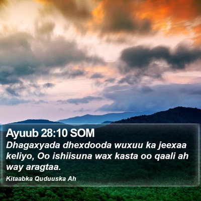 Ayuub 28:10 SOM Bible Verse Image